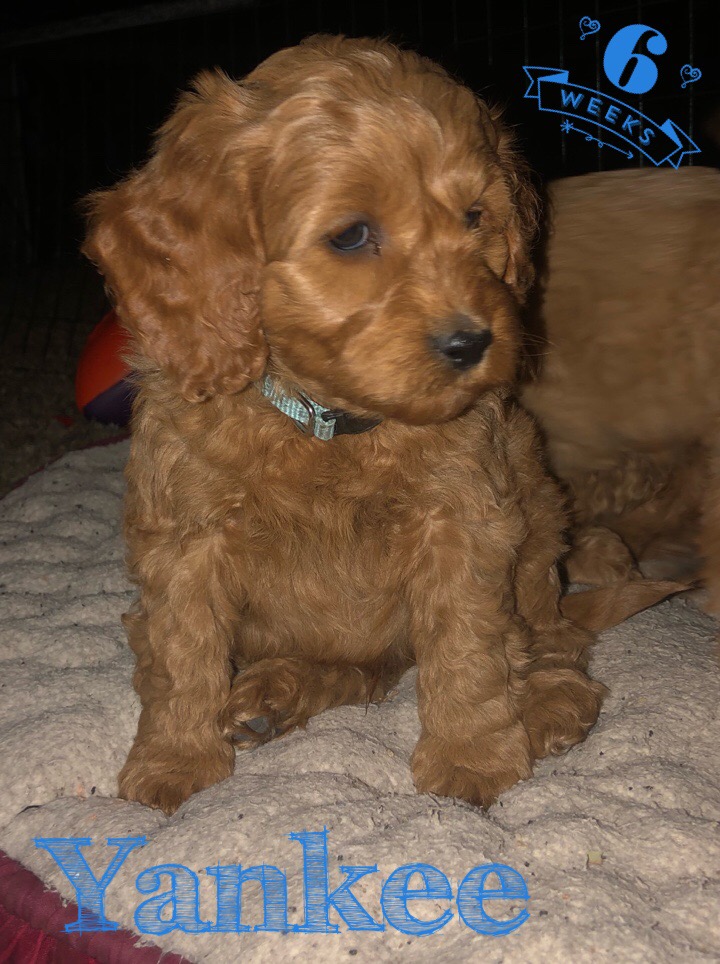 39D35432-31EF-47CE-98B0-288A66DB1C8D