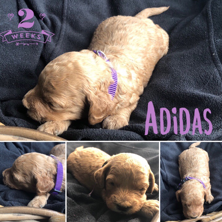 3BE5B1C4-65C5-4443-AFE8-3E2D949FBD0E