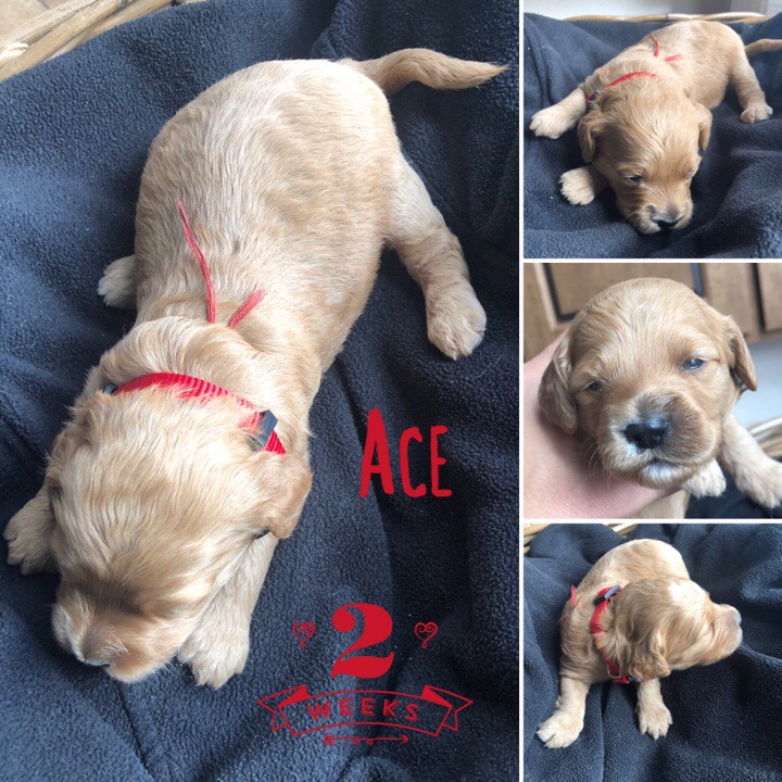 41AB7F6E-ABEF-44FF-BBAB-56E89C98929E