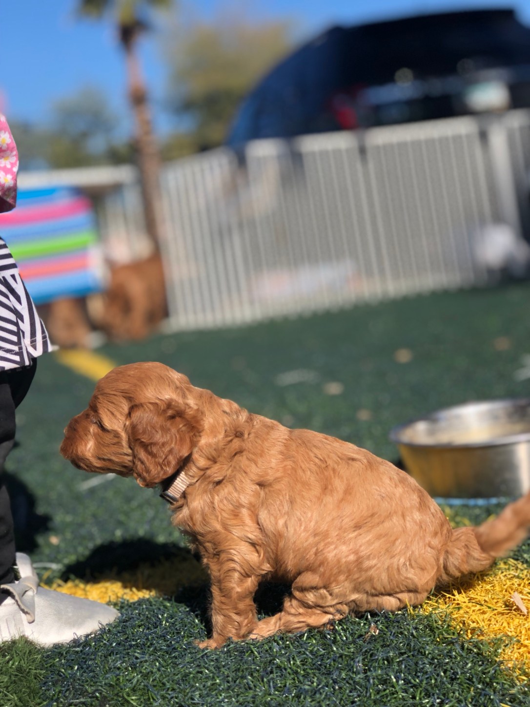 50C2A7E3-3F1B-408E-93BD-4AE734C9AE6C