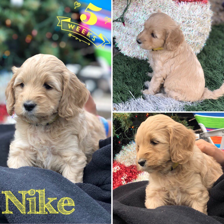 6540B4C6-7C53-4BF6-A0A7-350F9CAF3D45