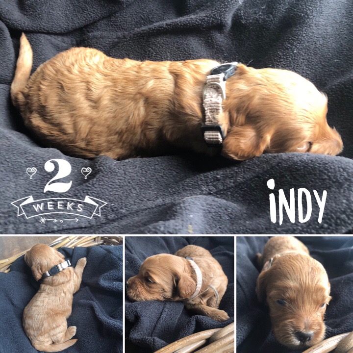 65C6FABF-EFFA-4747-B022-C5D0E65E21D4