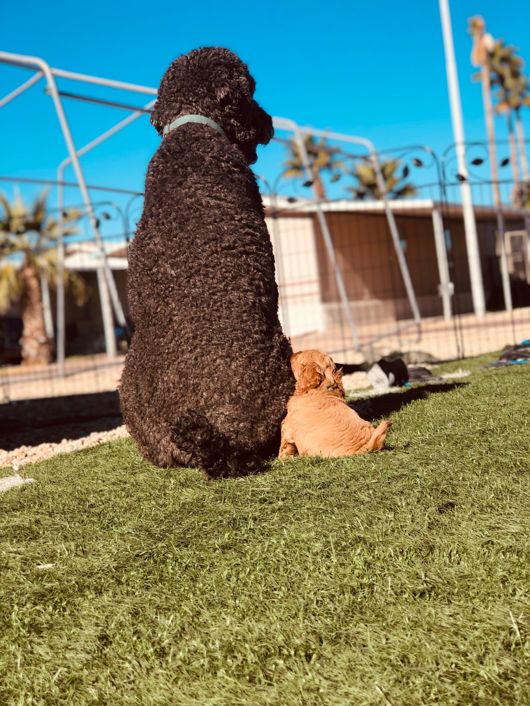 707A7A88-5F44-42E3-9072-160DB9320141