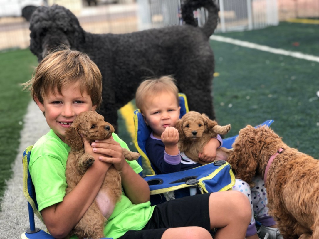 79F7EB82-F0CB-4C4E-9FEC-57E0DD6F5D87