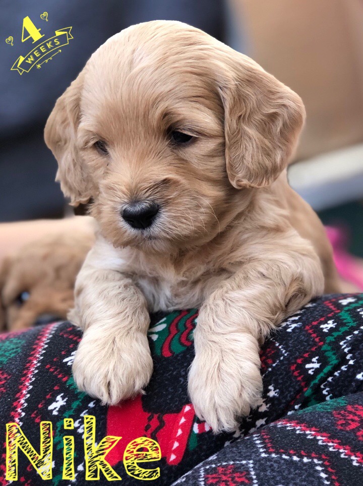 80AB8472-B81B-447E-BB7D-DC11E0CB81EB