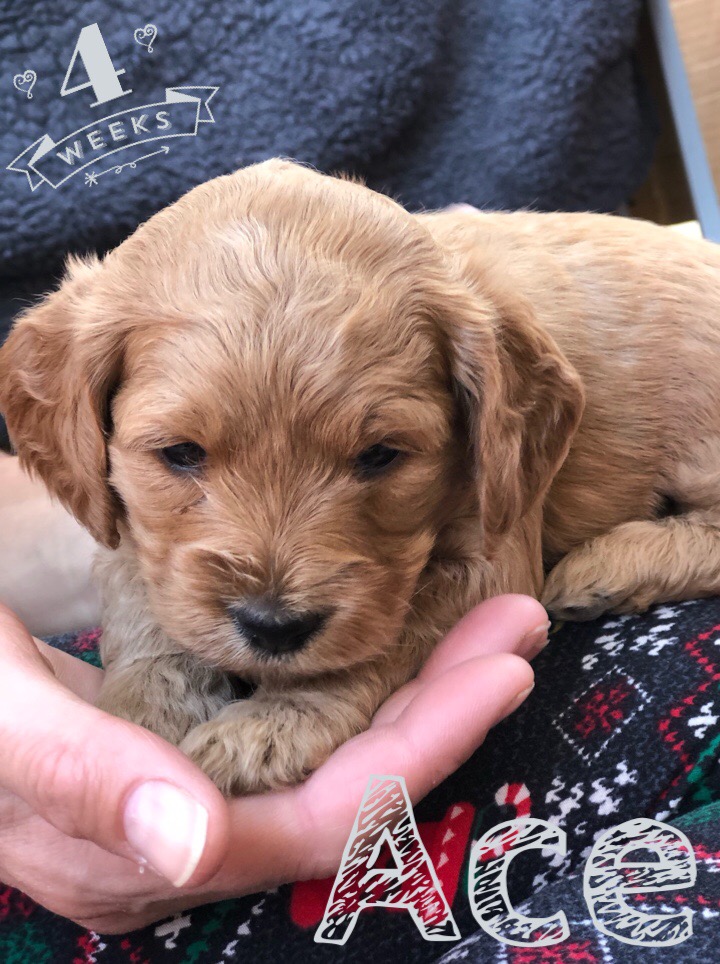 83820BBE-9C9D-48FB-A467-561F473B9174