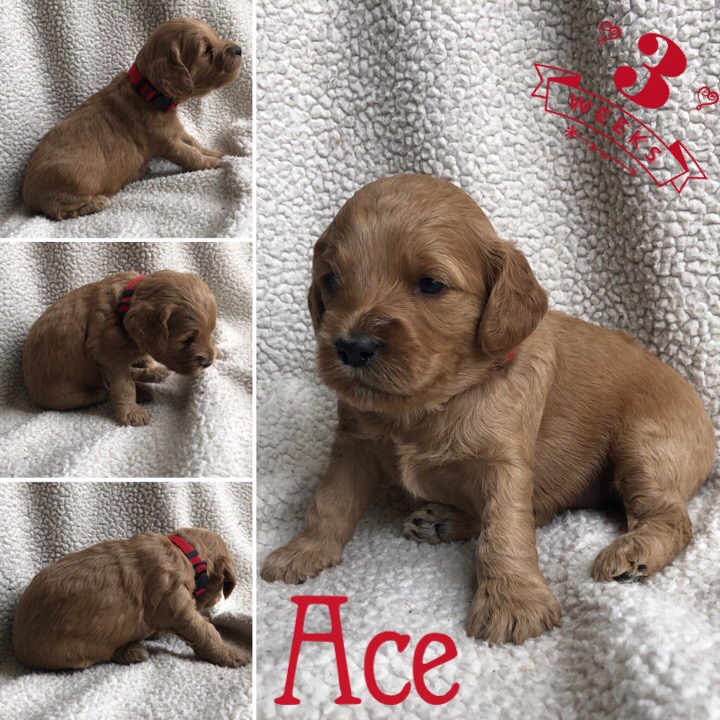 881BA4A3-B102-4197-961F-2C04B555F3EC