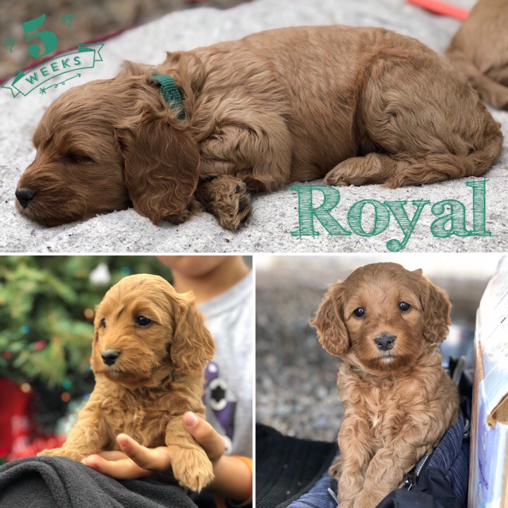 89C7613B-E4E0-4541-AF6E-670342F98852