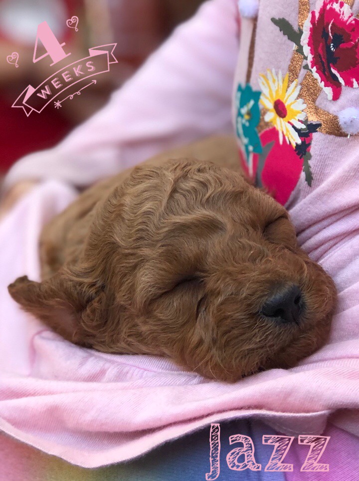 8BF655C6-D74E-4698-8530-E25E7FD976D9