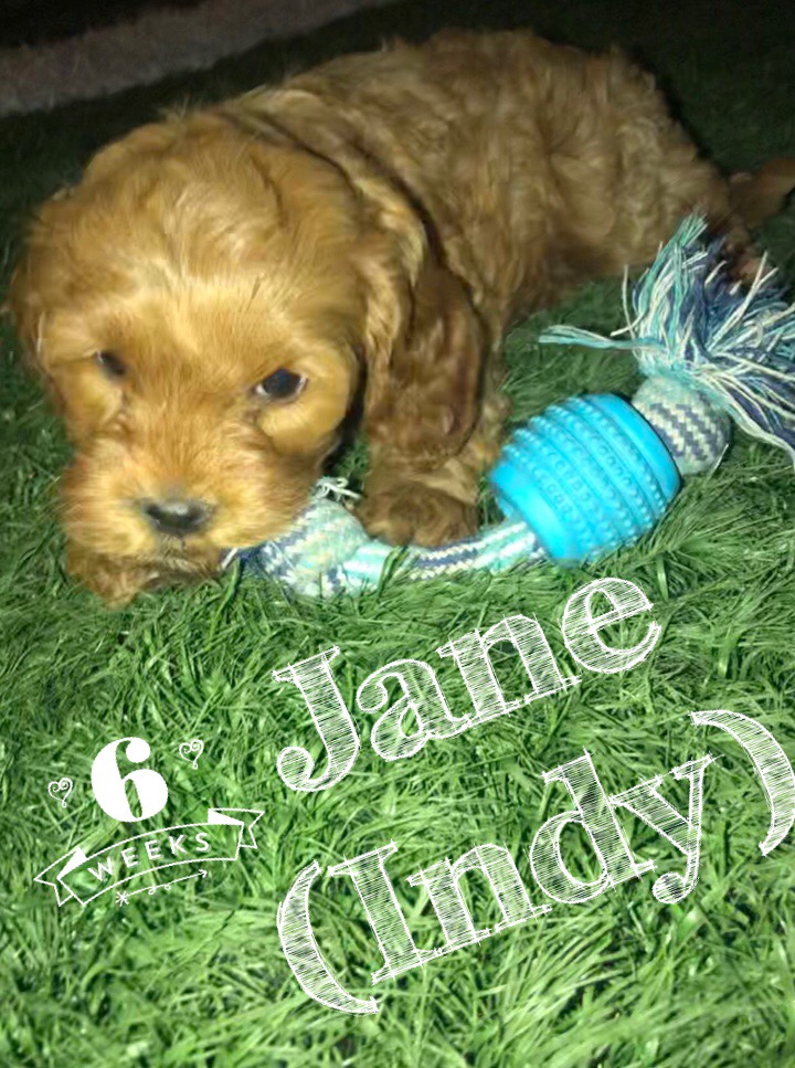 91863951-3A93-4BD8-AF5B-432353D9ADCF