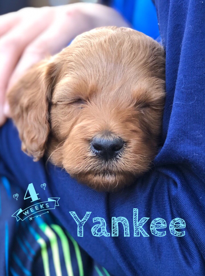 92633012-9A08-4E54-A255-FE742C0223FA