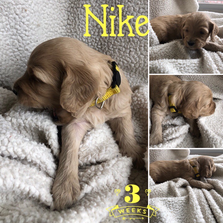 945D0A5A-E911-4ED0-90CD-0D4E3370B246