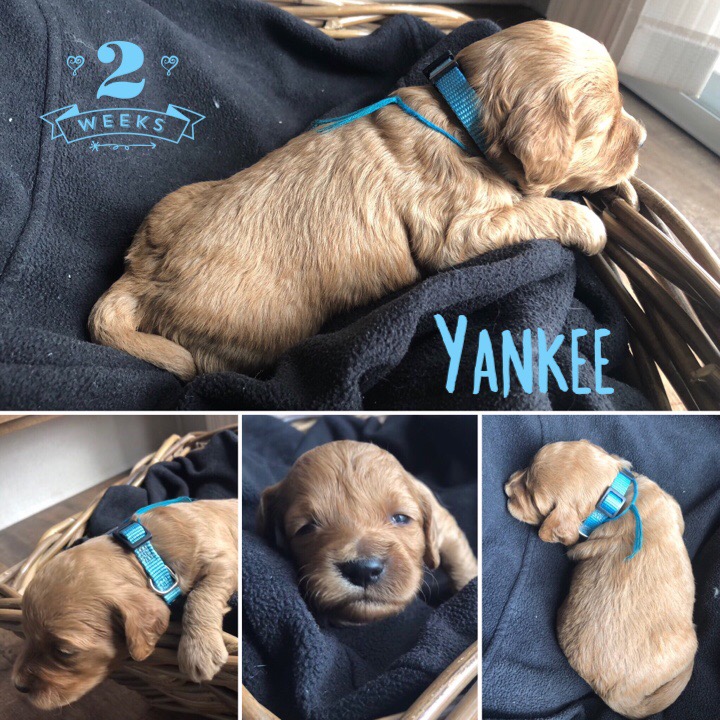 9B66A596-EDB8-44C8-A742-88D48CEE8691