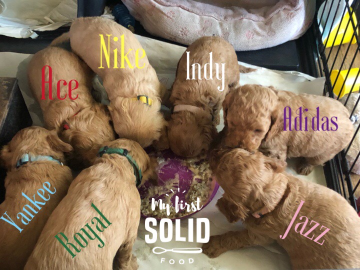 A5F8EDE2-A55F-4D80-B15A-9E1930B0F6FD