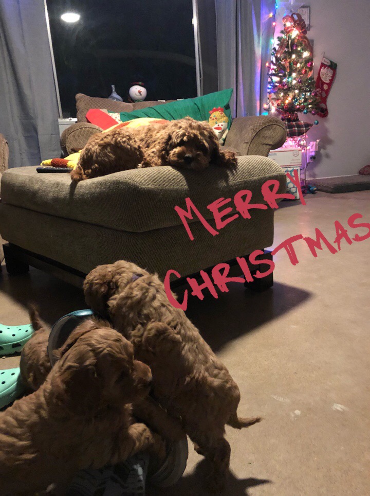 ACFF0999-6A04-4DC8-8D82-F0AF186E6FAF