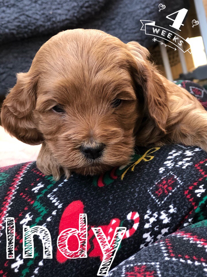 B2CBDC42-F8DD-4465-984C-78744B02DC43