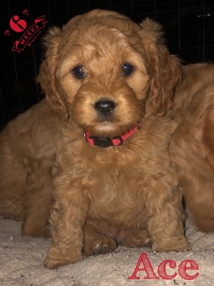 BE98B551-2873-47E2-8250-599031E6D006