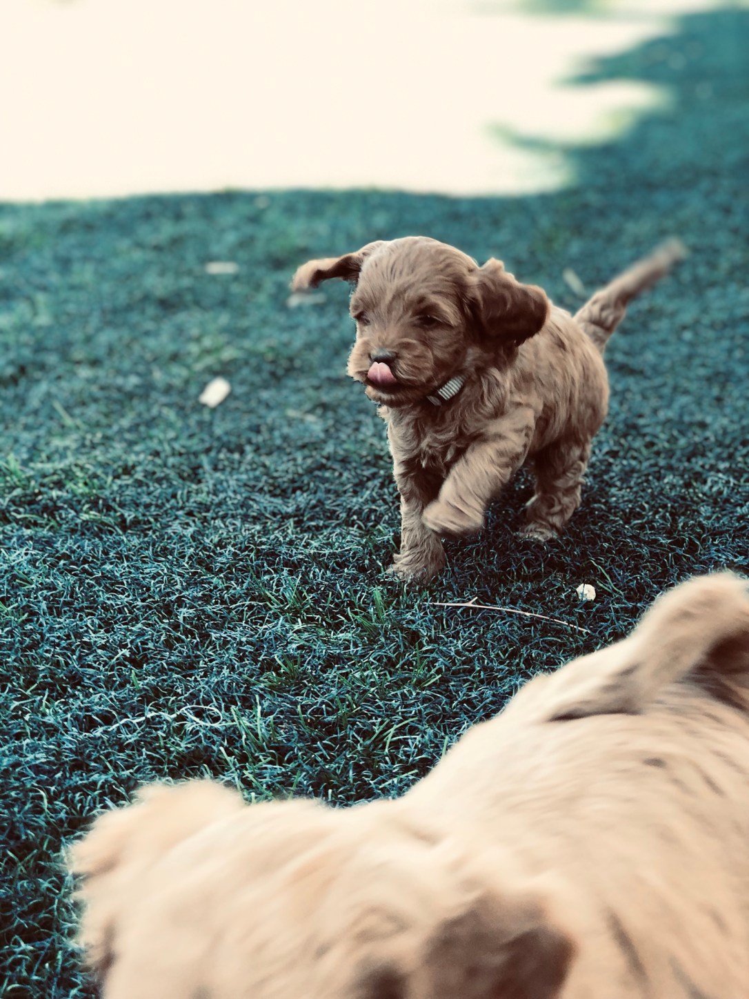 CFD4C7A8-81BC-40ED-B8CB-69C425C414B4