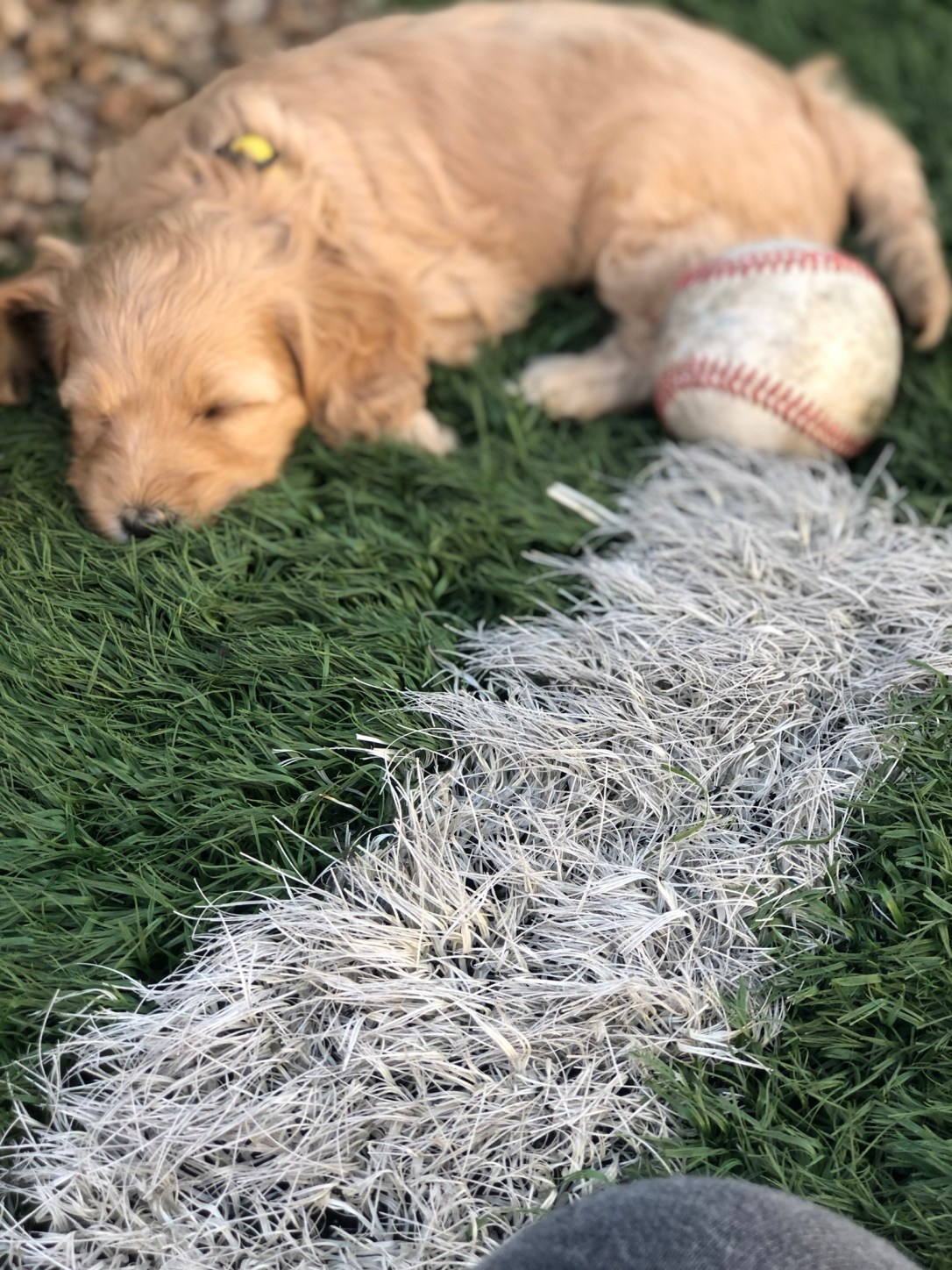 E302DCB2-BEDE-4151-A98D-269B4EC6832C