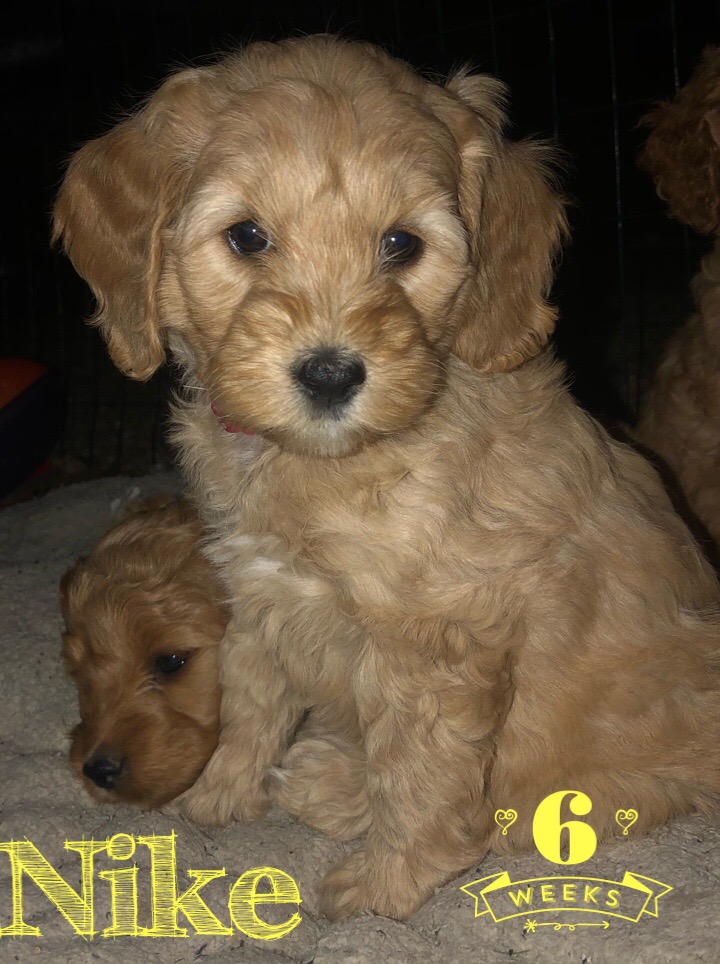 E51CFE66-1F20-4DF6-ACA6-A9CABC1A1FFA