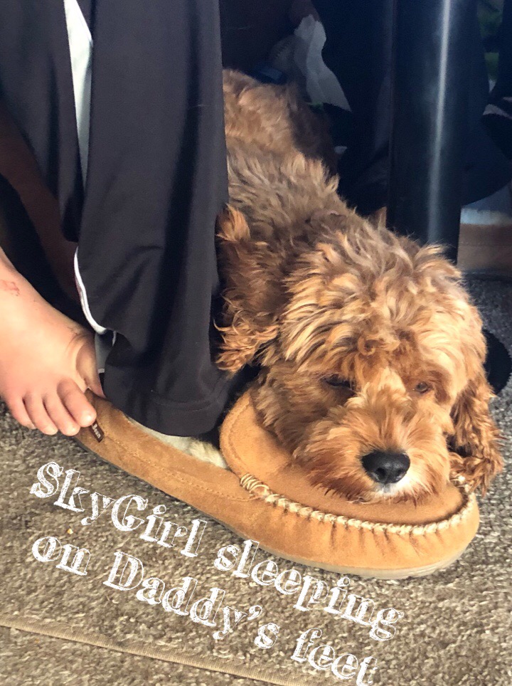 F357DEC7-4523-46B0-AEBB-E9C4C1B1F7DC