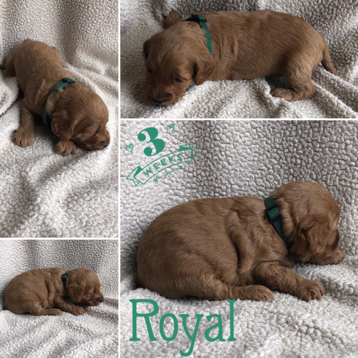 C3812560-3462-4056-AF80-DE1D42FF2D93