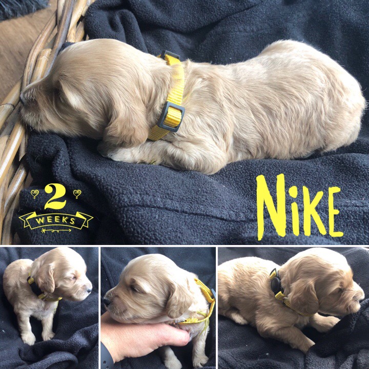 CECC31C5-ADB5-473E-845A-77D2655183F8