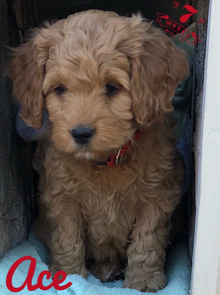 29FE4F38-A1FF-42EA-9A33-1F1D6CF524E5