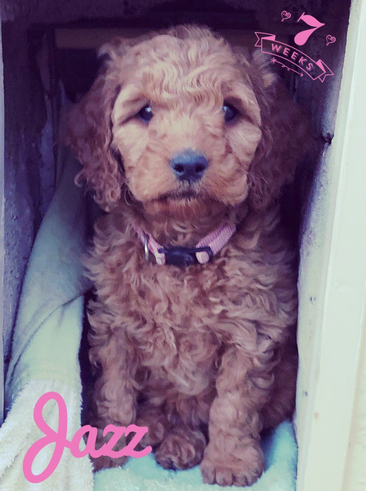 36522DC2-4C11-412D-8C82-9ED0486BABBC