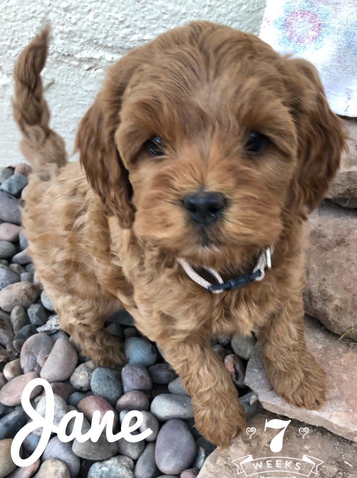 36A9F21B-D853-4AFD-A04B-AF7CD085A199