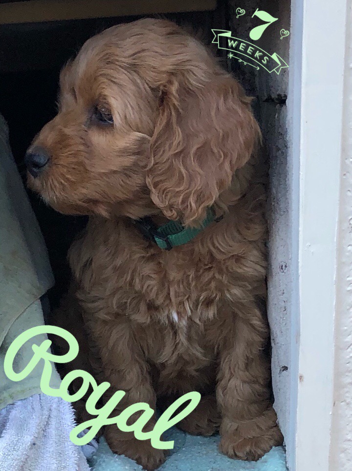 7C5077FA-D642-4EEA-A2DF-87B8C89AEE8E