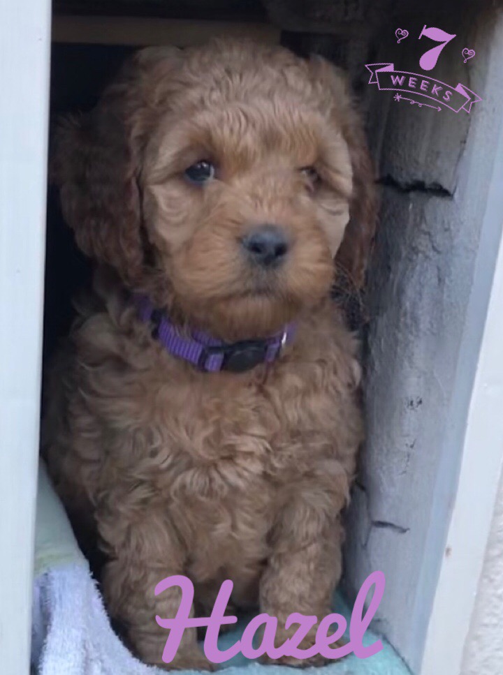 95159872-88BE-4285-A0B6-7CFA75945669