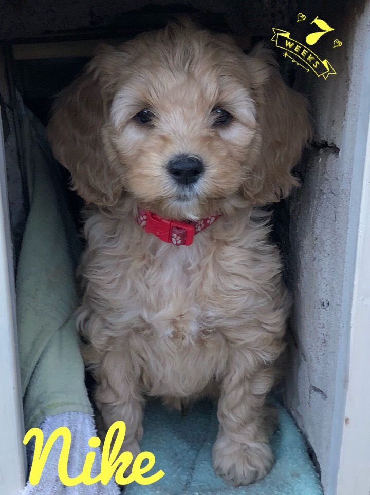 EBF5384B-635D-4A58-8264-2968AA61FB01