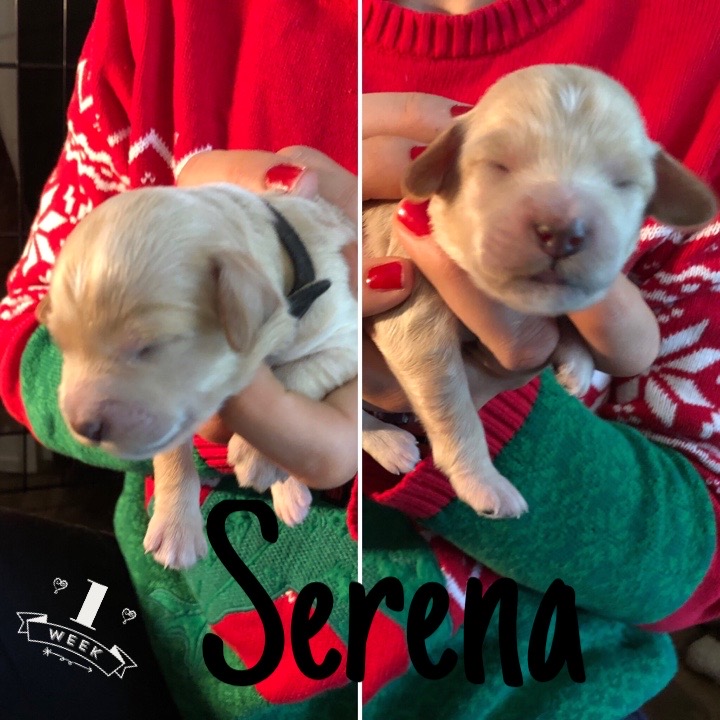 0766D566-555B-4438-A420-B0FD564B523B