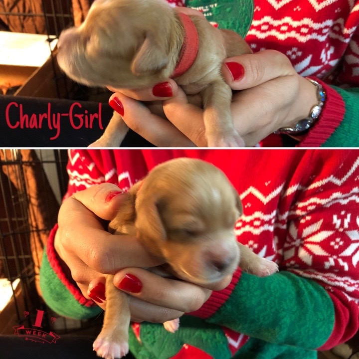 17F3C978-3FFE-4C30-801C-38213EDBE4D6