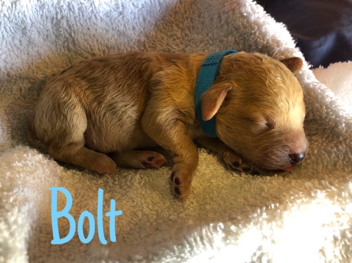 2E0E47F2-631A-46FD-98B4-0FCA2954C862