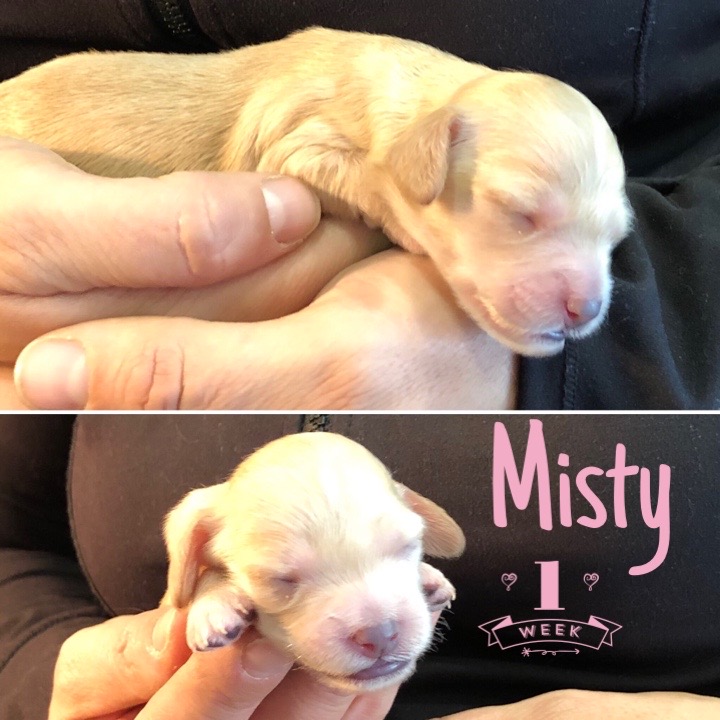 3EF8D741-8479-4AEA-872B-52EA61E0BA7A