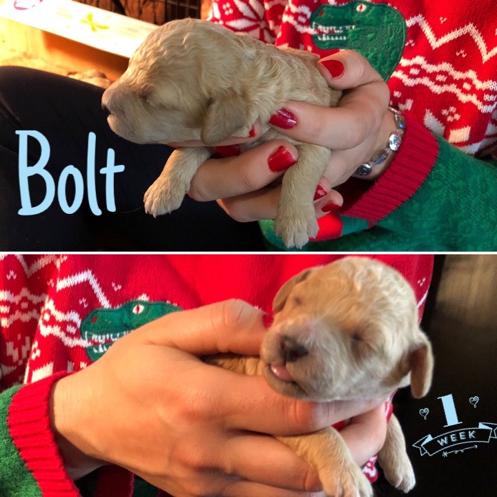 5A7327B6-45EC-4498-962C-BE133CBC174A