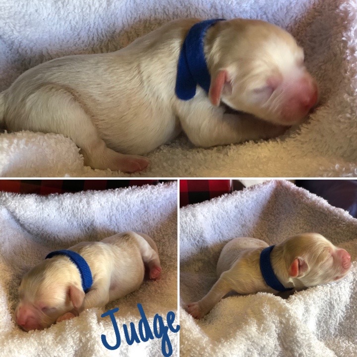 60C9AF3A-3102-4576-B68E-DFC6006FBFF0