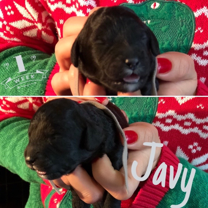 71DF5E08-29F7-4D84-AD59-10CE451BE671