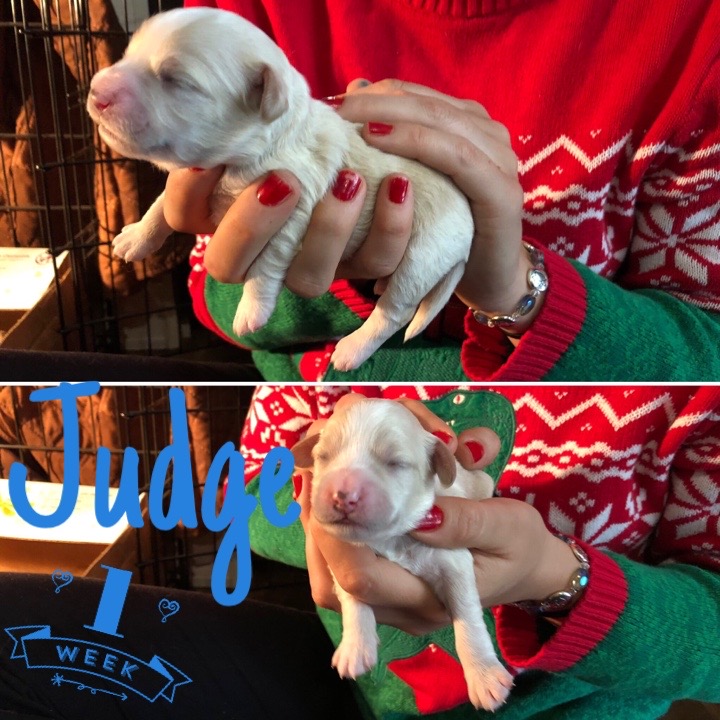 83FC3D2B-3661-413D-88CD-720A669E554F