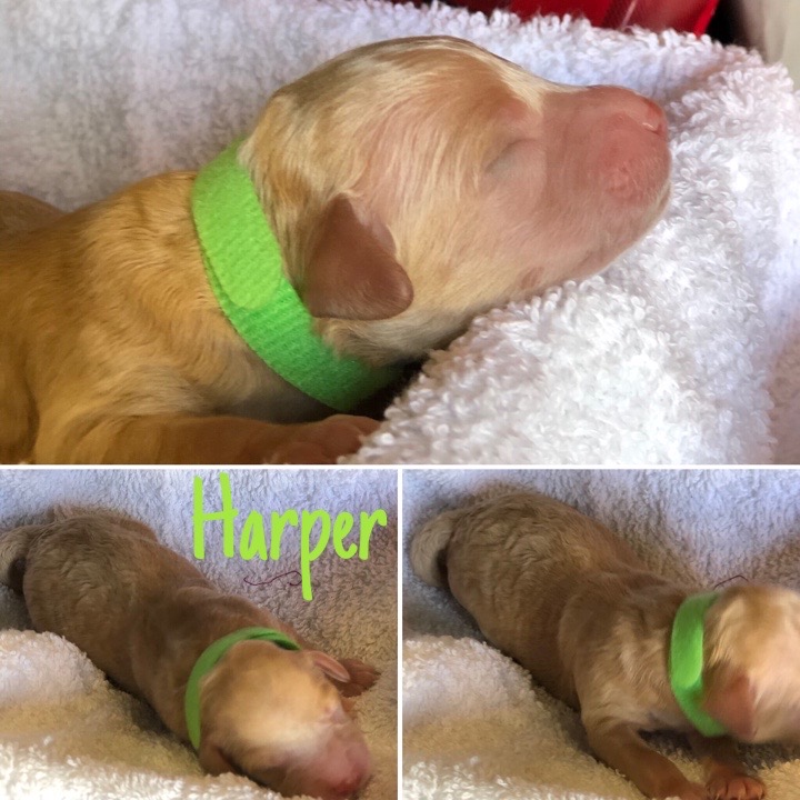 B67C9F6B-2A00-4074-989A-DF88EFC15CB9