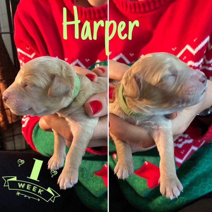 C5071B4C-BE24-46B5-93CD-02A4DE3F319E