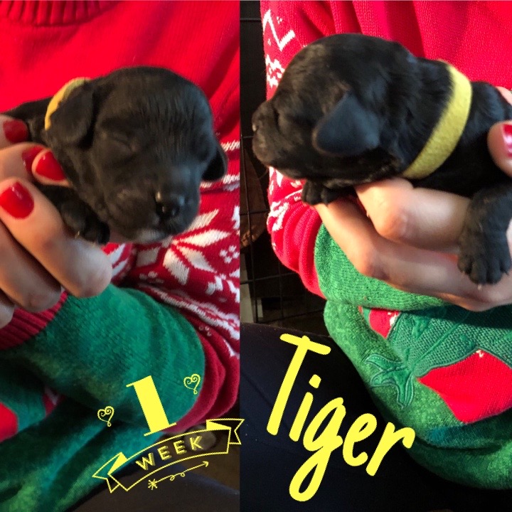 D6105D93-FB65-44E3-8884-BCF79424E880