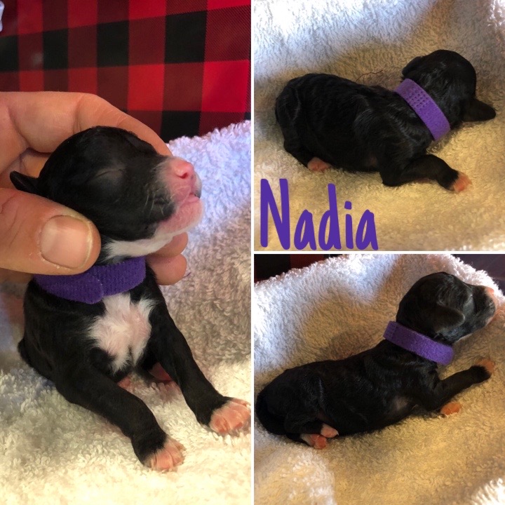 DDFBFBE5-042A-442E-8AA0-3E8044608658