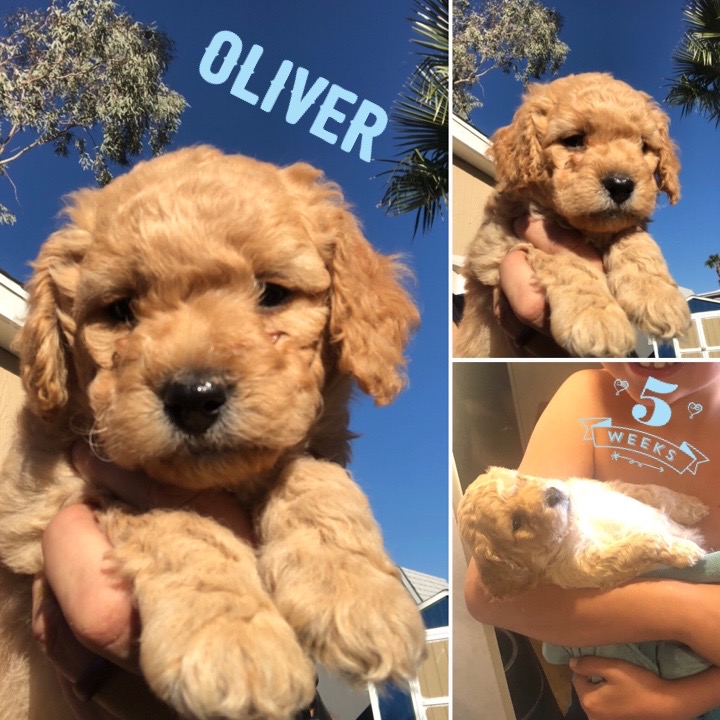 049BC7FA-E869-43C3-9C6C-FEEC6C4BBF60