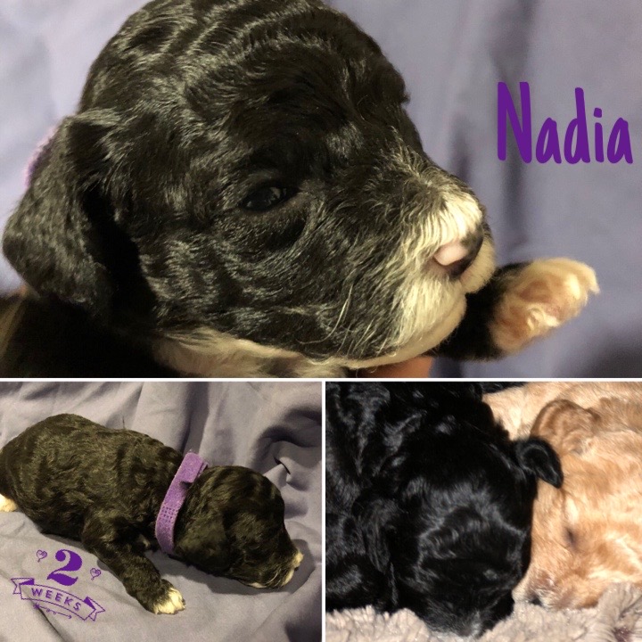 0A53FBE4-22C5-48B0-81CB-70BBEF5F0140