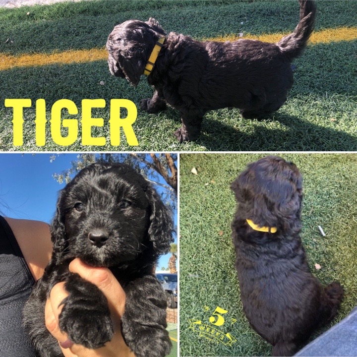 0DDB3644-ABCA-4BE2-829D-5638EDDC28C2