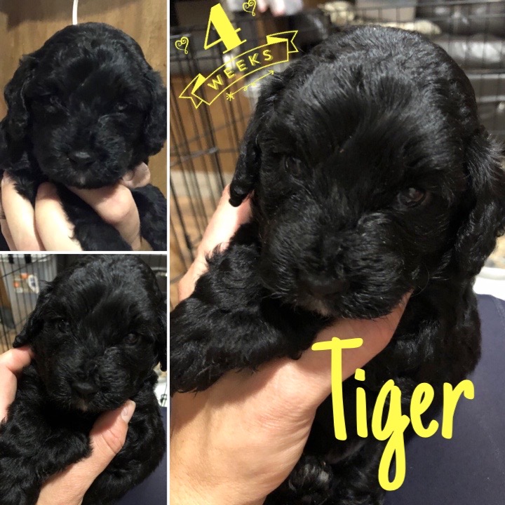 0E2ADFB5-05FC-43A6-91FF-F06151E9C791