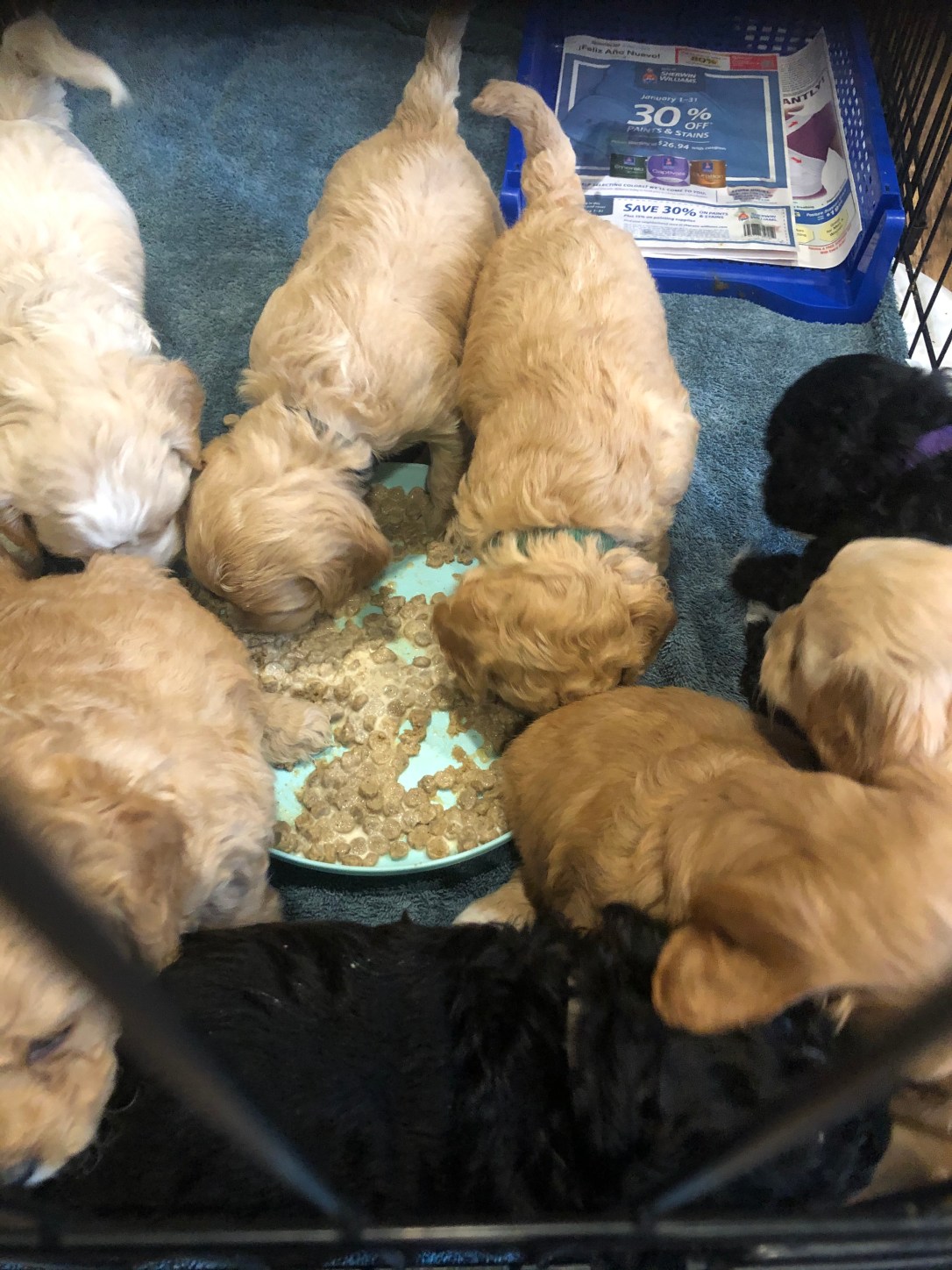 1261616B-23A1-424B-9C53-DCBAAB8814DA